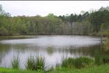 Gibbs farm pond picture