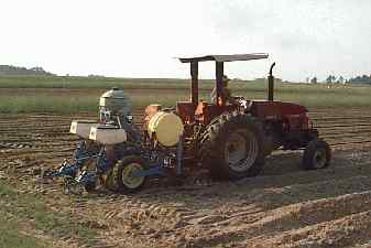 tractor planting cotton