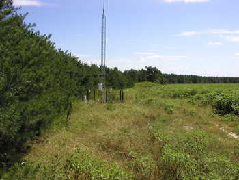 Site picture